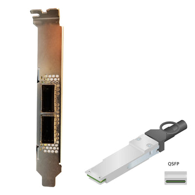 NetApp Adapter X1148A (ONTAP) PCIe3 bus with plug QSFP28 (2p 100GbE RoCE QSFP28)