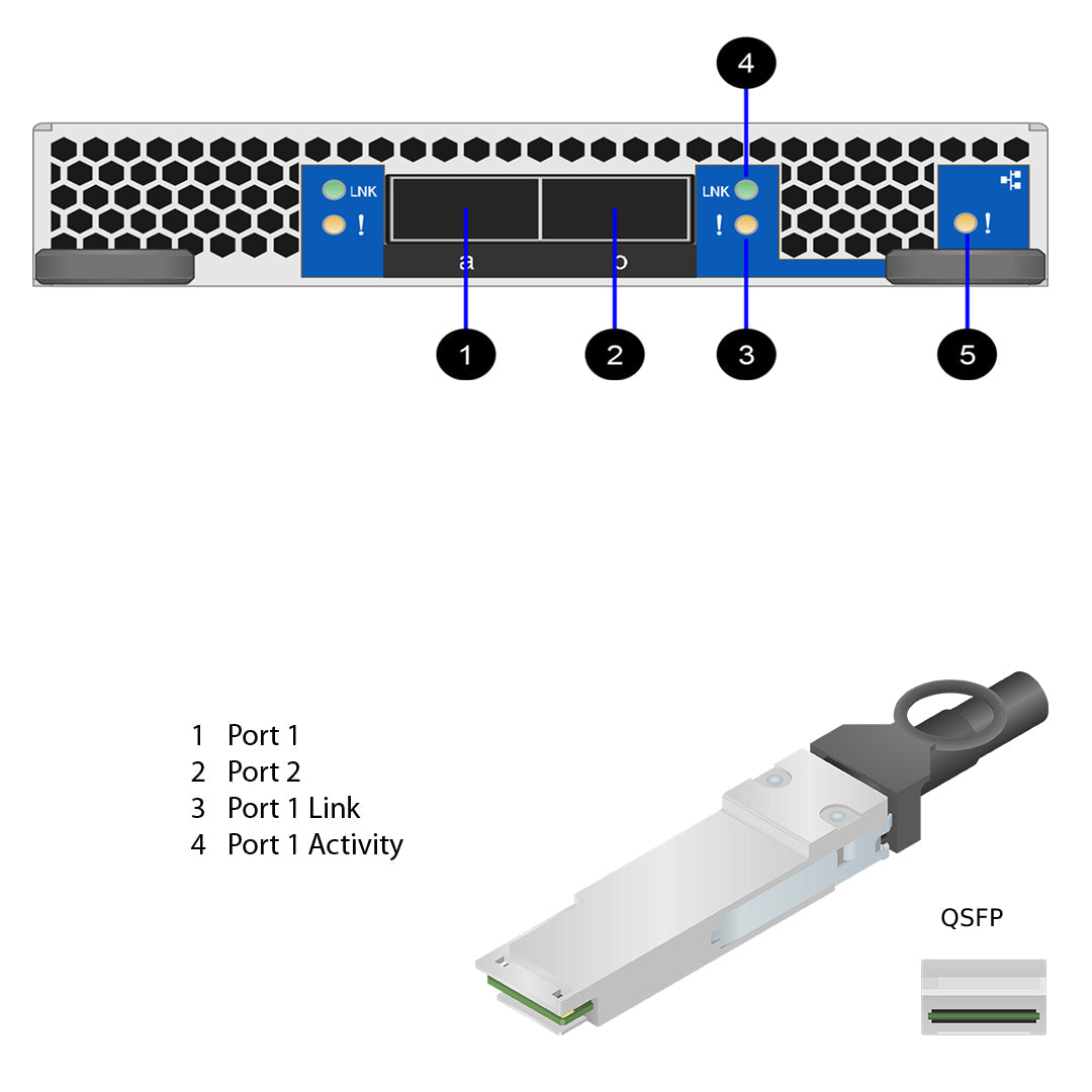 NetApp Adapter X1153 (ONTAP) PCIe3 bus with plug QSFP28 (2p 100GbE RoCE QSFP28)