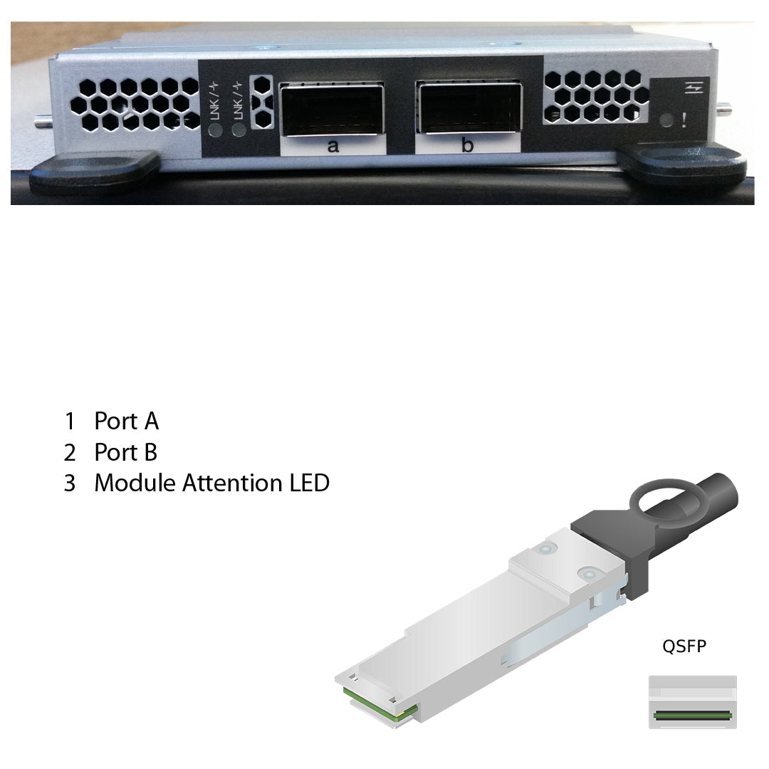 NetApp Adapter X91146A (ONTAP) IO Module bus with plug QSFP28 (IO Module,2p MC IP,40GbE QSFP+,100GbE QSFP28)