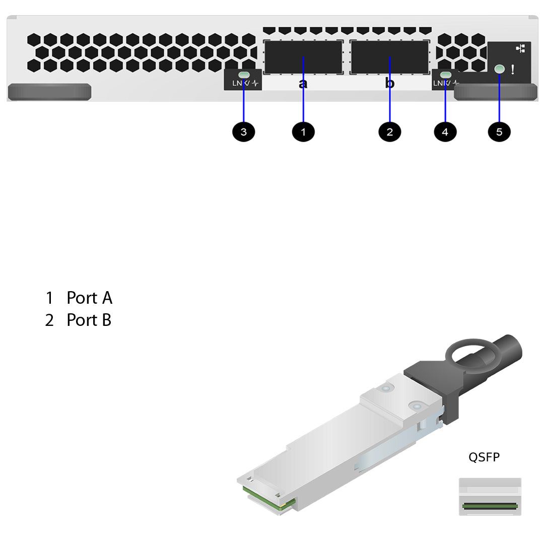 NetApp Adapter X91148A (ONTAP) IO Module bus with plug QSFP28 (2p 100GbE, QSFP28, gen3x16, RoCE)