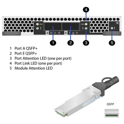 NetApp Adapter X91440A (ONTAP) [3] IO Module bus with plug QSFP (2p 40GbE NIC Cu|Op)