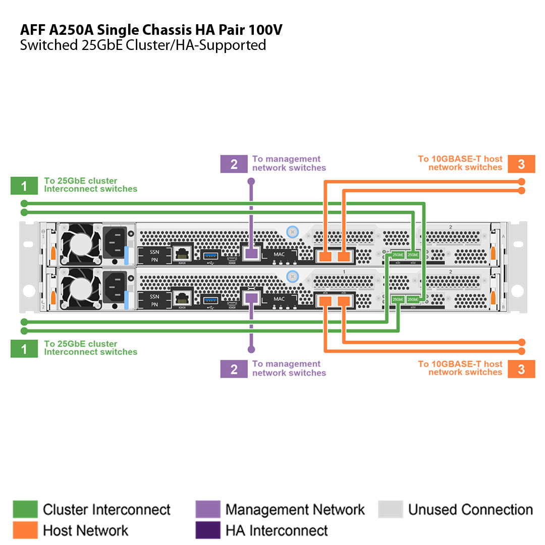 NetApp AFF A250 100V Single Chassis HA Pair Filer Head (AFF-A250A-100V)