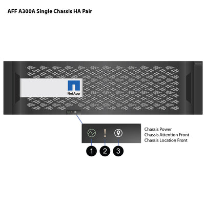 NetApp AFF A300 Single Chassis HA Pair Filer Head (AFF-A300A)